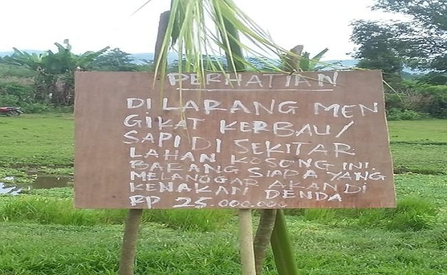Larangan yang dipasang kepada warga Desa Waetina (Unit 10), Kecamatan Waelata, Kabupaten Buru. Warga di desa itu, sejak tanggal 30 April 2019 dilarang mengembalakn ternaknya masuk areal petuanan adat dan  mengambil rumput untuk hewan ternak. (FOTO : ISTIMEWA)