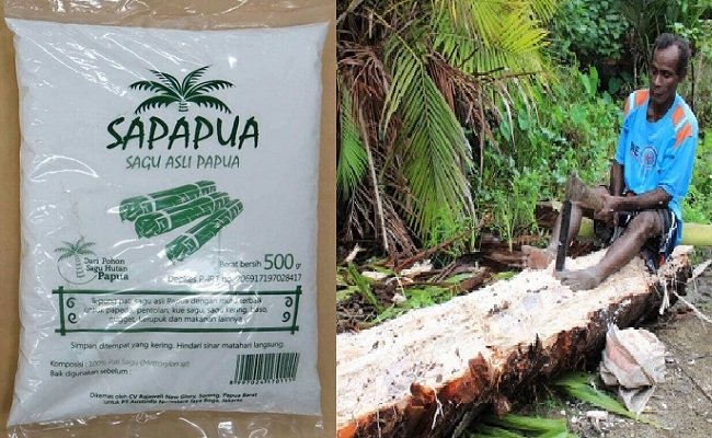 Produk tepung sagu dari Papua. Seorang petani sagu di Papua tengah mengolah sagu