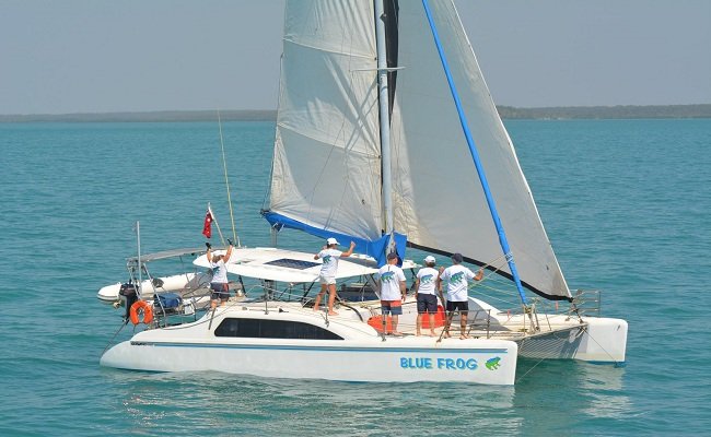 Perahu Layar Blue Frog salah satu peserta lomba perahu layar yang ikut pada lomba perahu Spice Islands Darwin Ambon Yacht Race (SIDAYR) tahun  2017 lalu.