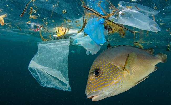 Ilustrasi : Pencemaran laut akibat bertaburnya sampah plastik