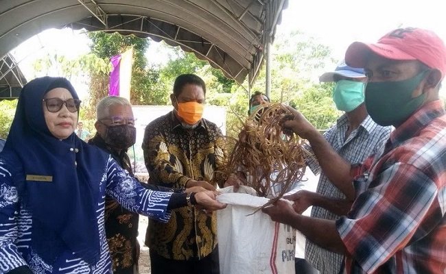 Walikota Tual Adam Rahayaan saat menyerahkan bantuan bibit rumput laut kepada petani rumput laut Dusun Vatraan, Kamis (27/8/2020)