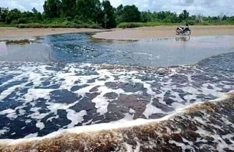 Kondisi salah satu kali yang bermuara ke laut di Dusun Siliha, Kecamatan Seram Utara Timur Kobi, Kabupaten Maluku Tengah, yang sebelumnya diduga tercemar dari aktivitas pabrik kelapa sawit (Foto : Istimewa)