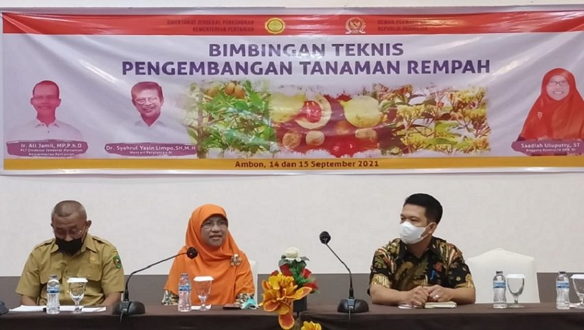 Anggota DPR RI Saadiah Uluputy saat menyampaikan materi dalam kegiatan Bimbingan Teknis Tanaman Pala di Kota Ambon, Selasa (14/9/2021)