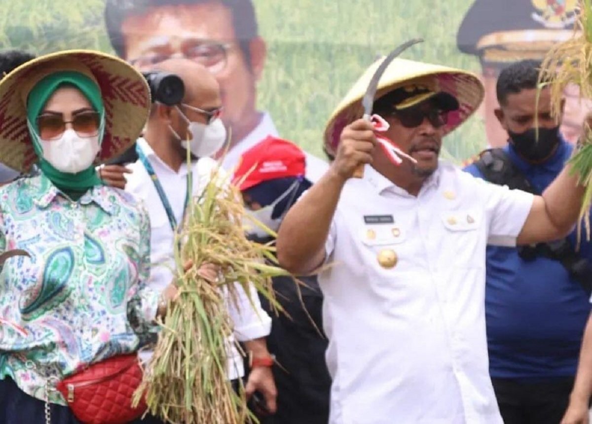 Gubernur Maluku Murad Ismail saat kegiatan panen raya padi di lahan seluas 1.816 hektar di Desa Asih, Kobisonta, Kecamatan Seram Utara, Kabupaten Maluku Tengah, Kamis (10/3/2022).