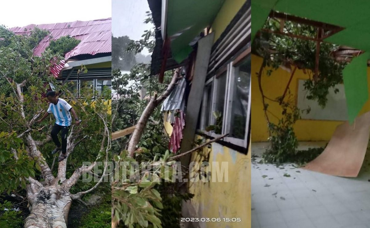 Gedung sekolah rusak tertimpa pohon tumbang di Desa Kilga, Kabupaten Seram Bagian Timur