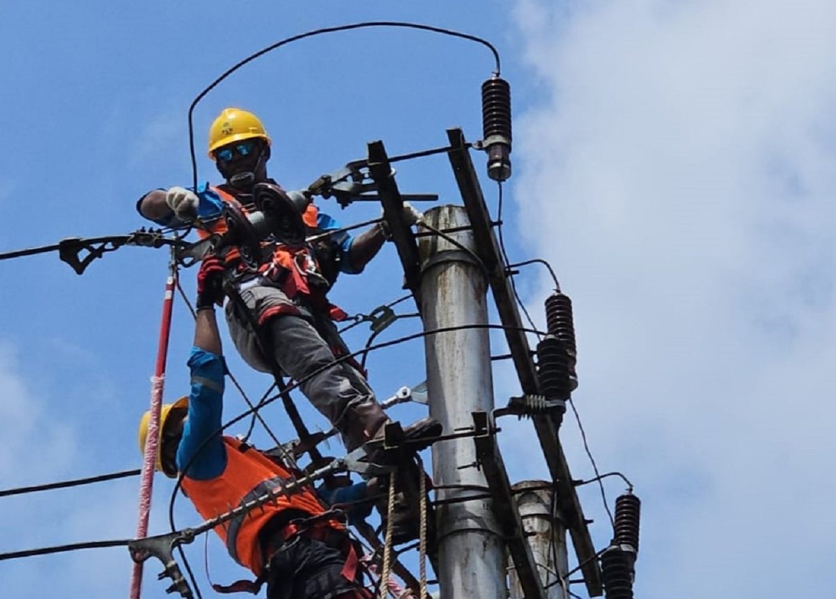 Kegiatan pemeliharaan jaringan listrik di Kota Ambon oleh PLN UPT Ambon