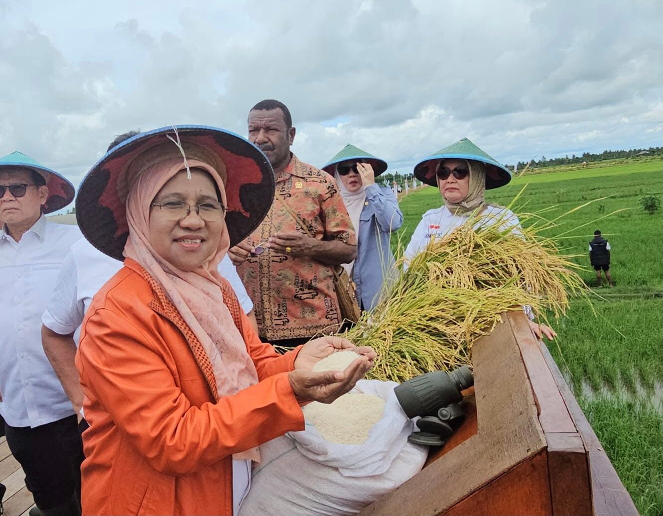 Anggota Komisi IV DPR RI, Saadiah Uluputty menghadiri panen padi beberapa waktu lalu. (foto : Istimewa)