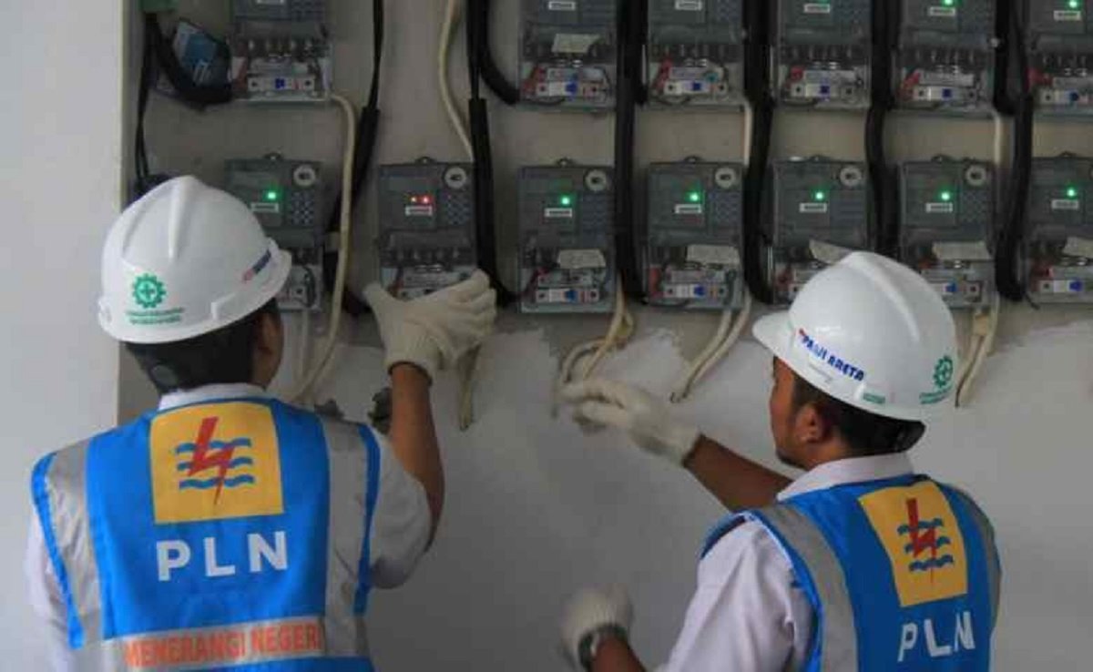 Petugas PLN memeriksa jaringan listrik