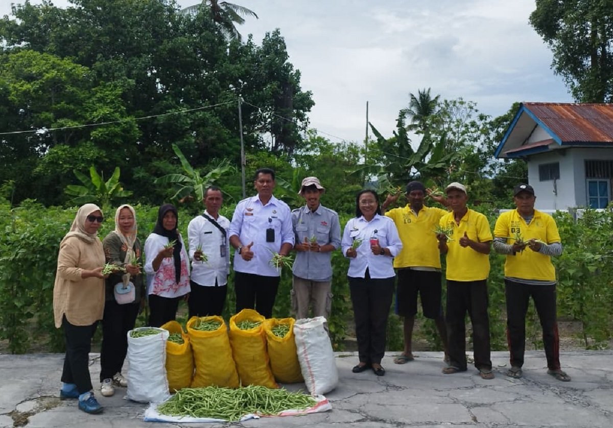 Hasil panen tanaman sayuran yang dilakukan warga binaan Lapas Namlea