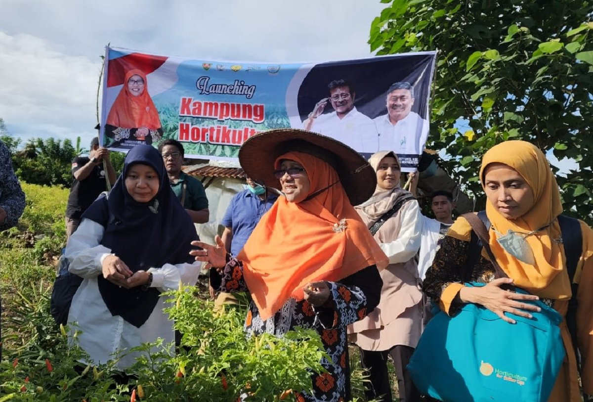 Anggota DPR RI Fraksi PKS dari Dapil Maluku, Saadiah Uluputty dalam sebuah kunjungan kerja melakukan panen sayuran bersama petani