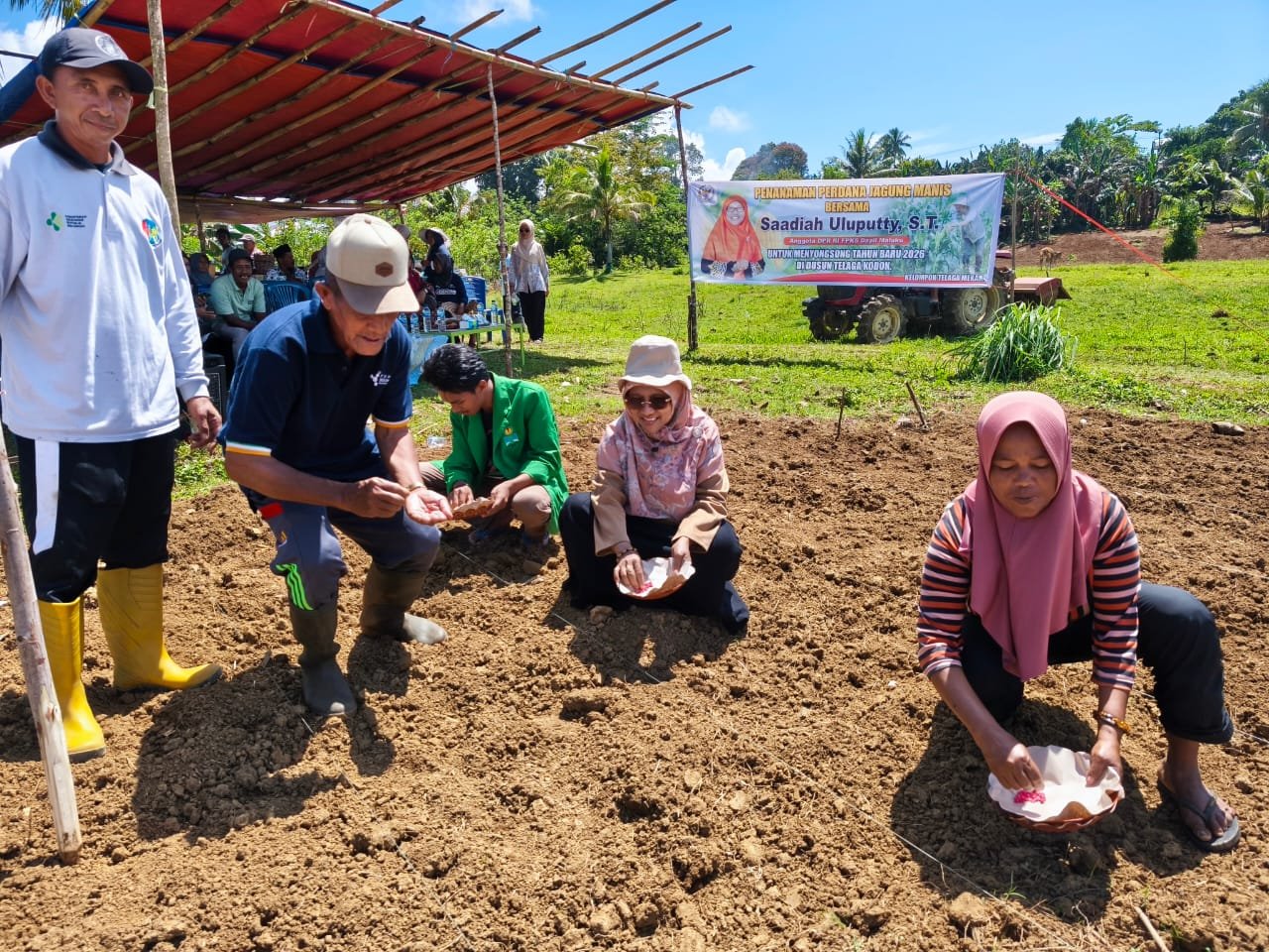 Anggota DPR RI dari Komisi V, Saadiah Uluputty bersama masyarakat Dusun Telaga Kodok, kelompok petani, Kepala Dusun dan mahasiswa KKN melakukan penanaman jagung manis perdana di Dusun Telaga Kodok, Kecamatan Leihitu, Kabupaten Malteng pada Rabu 15 Oktober 2025.